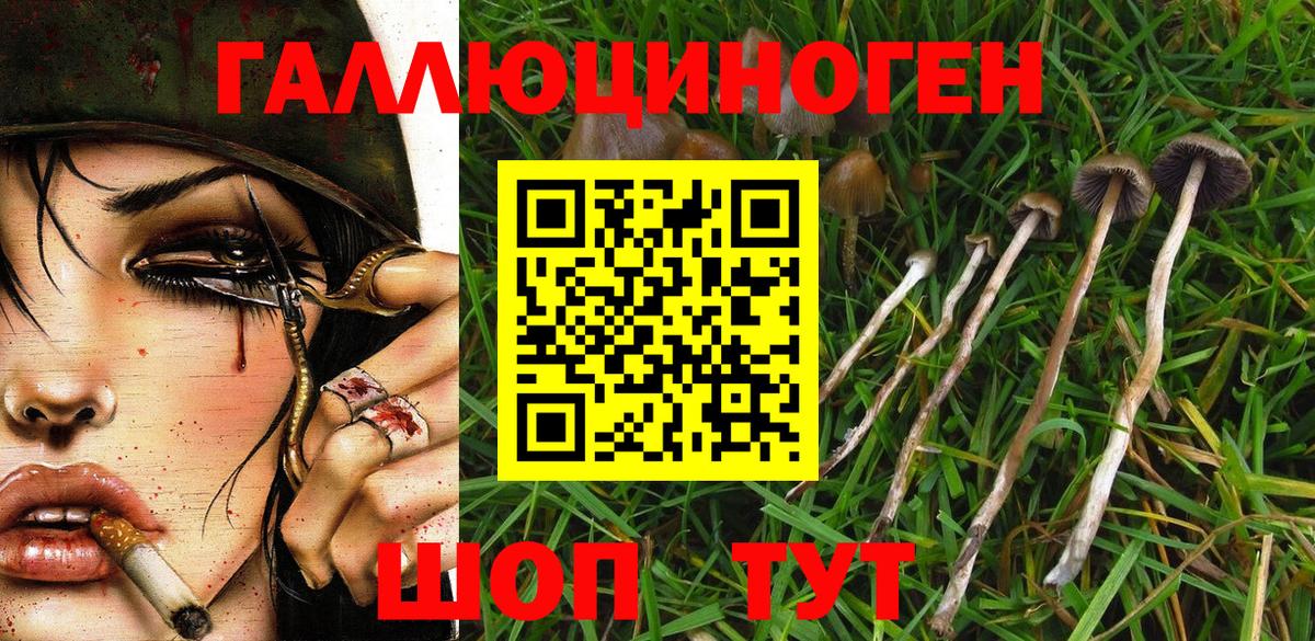 Псилоцибиновые грибы Psilocybe Волжский