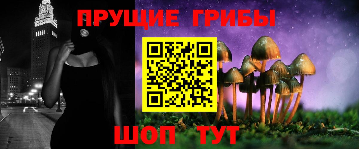 Псилоцибиновые грибы прущие грибы  Вход с VPN  Галлюциногенные грибы MAGIC MUSHROOMS  Волжский 
